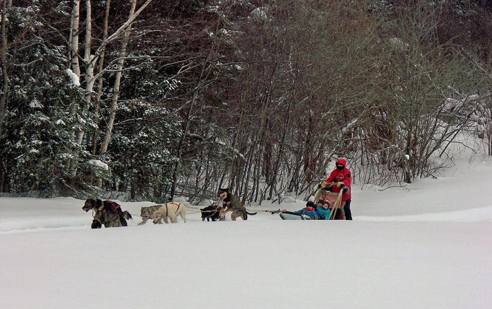 Aventure Pattes Blanches - Dogsledding