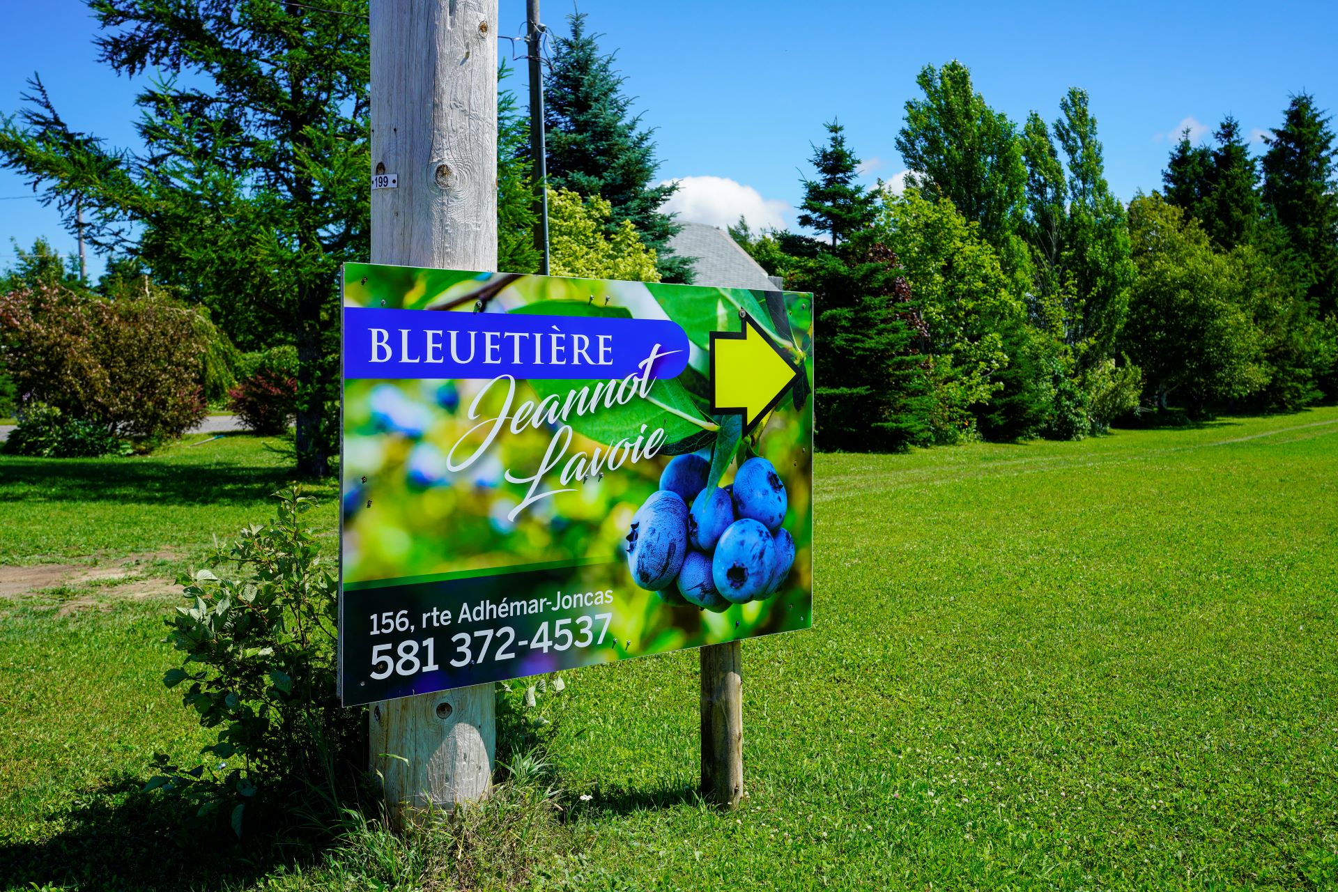 Bleuetière Jeannot Lavoie - Blueberry Farm