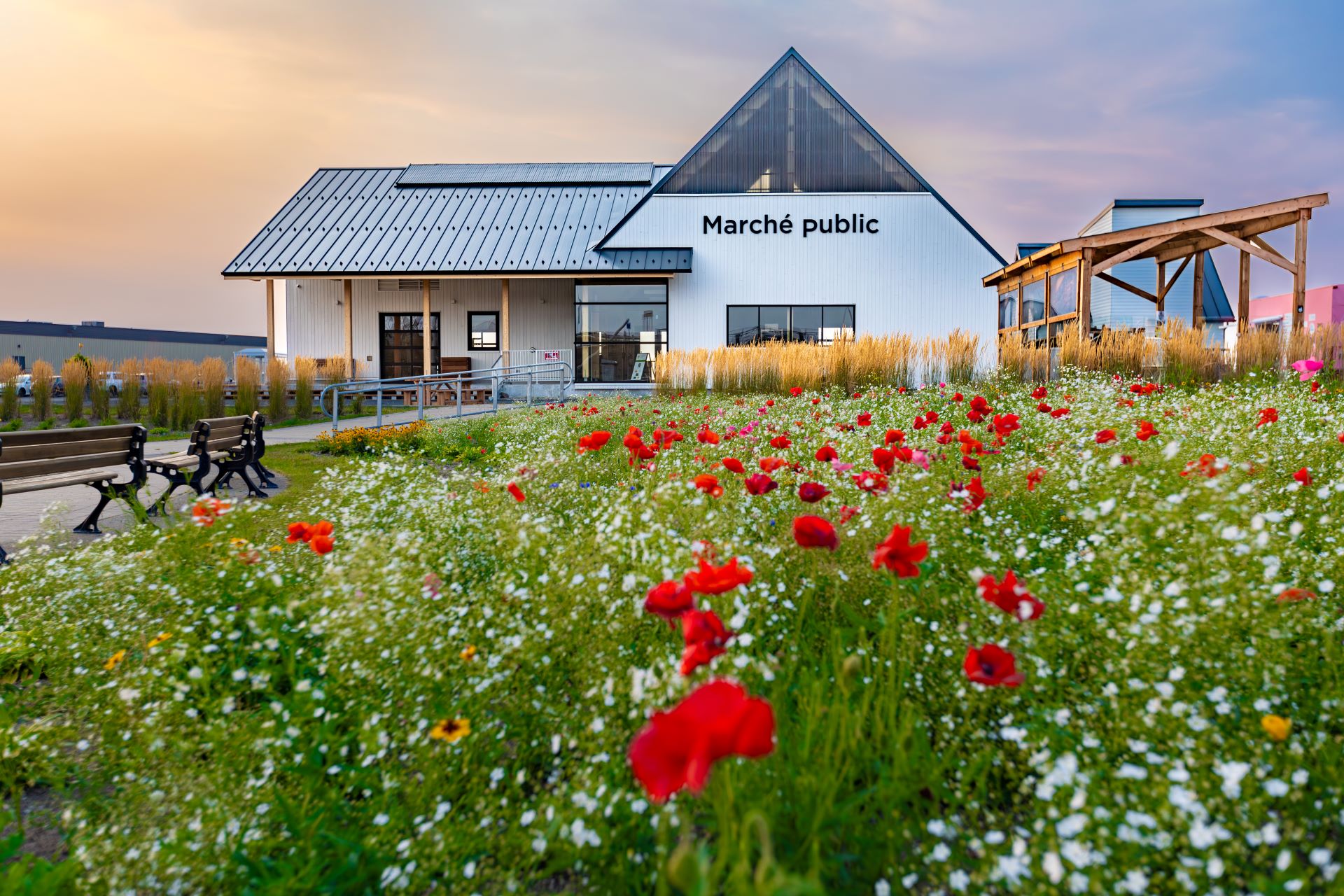 Marché public de La Matanie