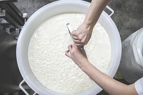 Fromagerie du littoral