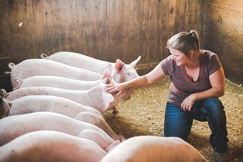 La Ferme des Érables