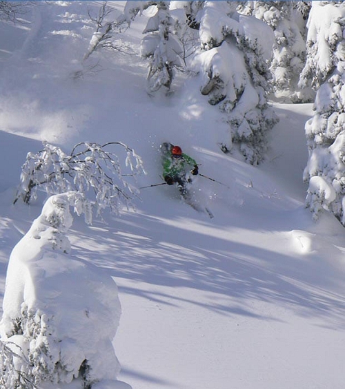 True Winter lovers passionate about real snow Enjoy tons of snow and marvel at the gorgeous scenery displayed in our exceptional territory.