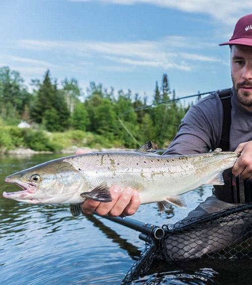 Hunting and fishing buffs looking for great anecdotes Catch your next best story amongst a vast array of species available in Matanie: salmon, striped bass, mackerel, moose and so much more.