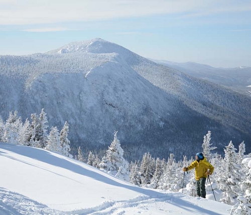 Winter Fun Winter Fun | What to do?